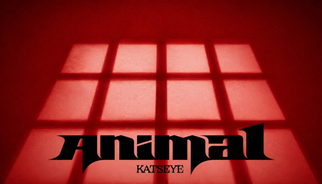 آهنگ Animal از KATSEYE