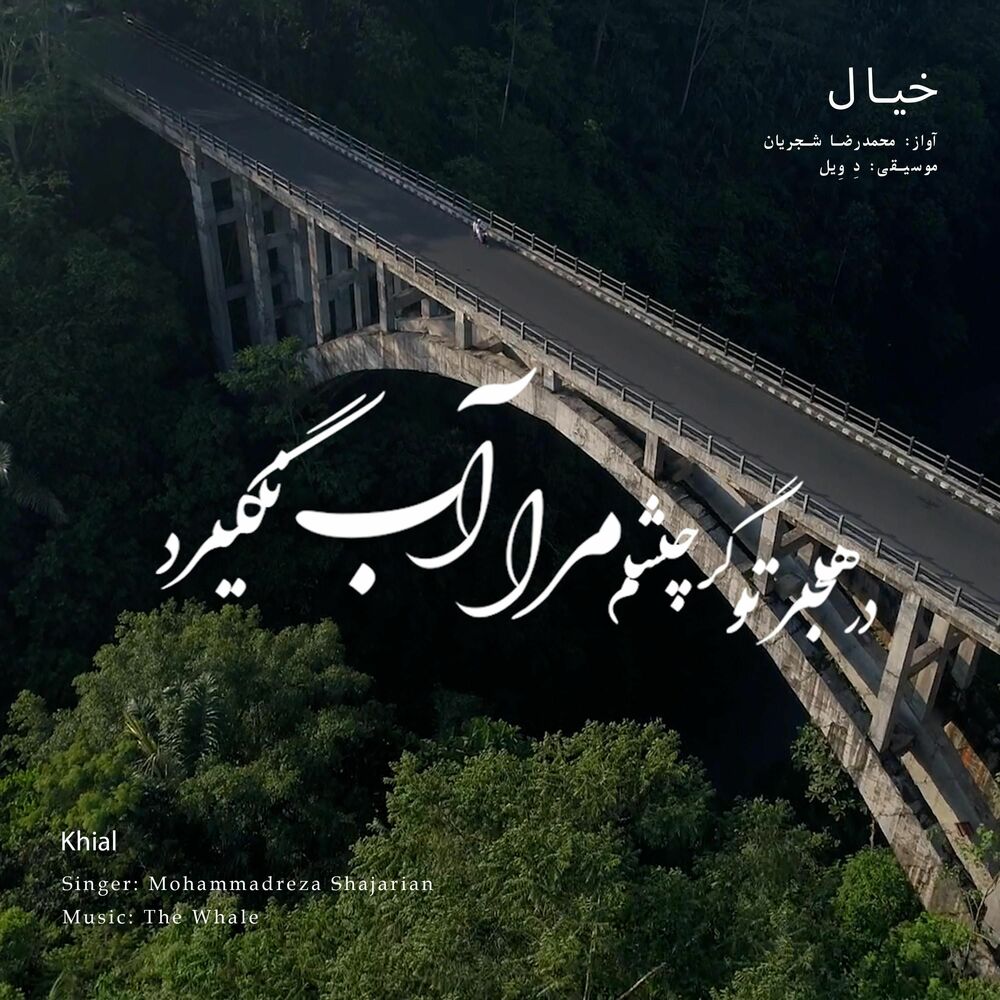 آهنگ هنگام وداع تو ز بس گریه که کردم
