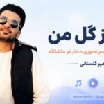 دانلود آهنگ ناز ناز گل من ناز داری والا چشم نخوری دختر تو ماشالله از امیر گلستانی دانلود آهنگ ناز ناز گل من ناز داری والا چشم نخوری دختر تو ماشالله از امیر گلستانی