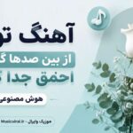 دانلود آهنگ تورو از بین صدها گل من احمق جدا کردم هوش مصنوعی ترند اینستا دانلود آهنگ تورو از بین صدها گل من احمق جدا کردم هوش مصنوعی ترند اینستا
