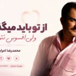 دانلود آهنگ از تو باید میگذشتم ولی افسوس نتونستم محمدرضا اعرابی