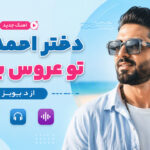 دانلود آهنگ دختر احمد آباد تو عروس بندری از د بویز