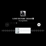 دانلود آهنگ فانک I LOVE YOU FUNK از Young Madz ورژن Slowed