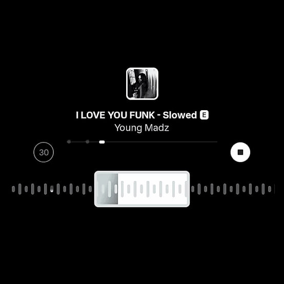 آهنگ فانک I LOVE YOU FUNK