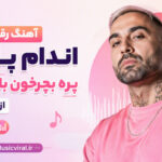 دانلود آهنگ رقص اندام پارتی پره بچرخون باربی شله از تهی دانلود آهنگ رقص اندام پارتی پره بچرخون باربی شله از تهی