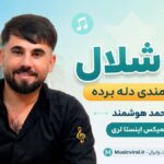 دانلود آهنگ یه شلال پل کمندی دله برده از احمد هوشمند ریمیکس اینستا لری دانلود آهنگ یه شلال پل کمندی دله برده از احمد هوشمند ریمیکس اینستا لری
