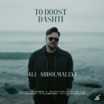 دانلود آهنگ تو دوست داشتی از علی عبدالمالکی Ali Abdolmaleki To Doost Dashti