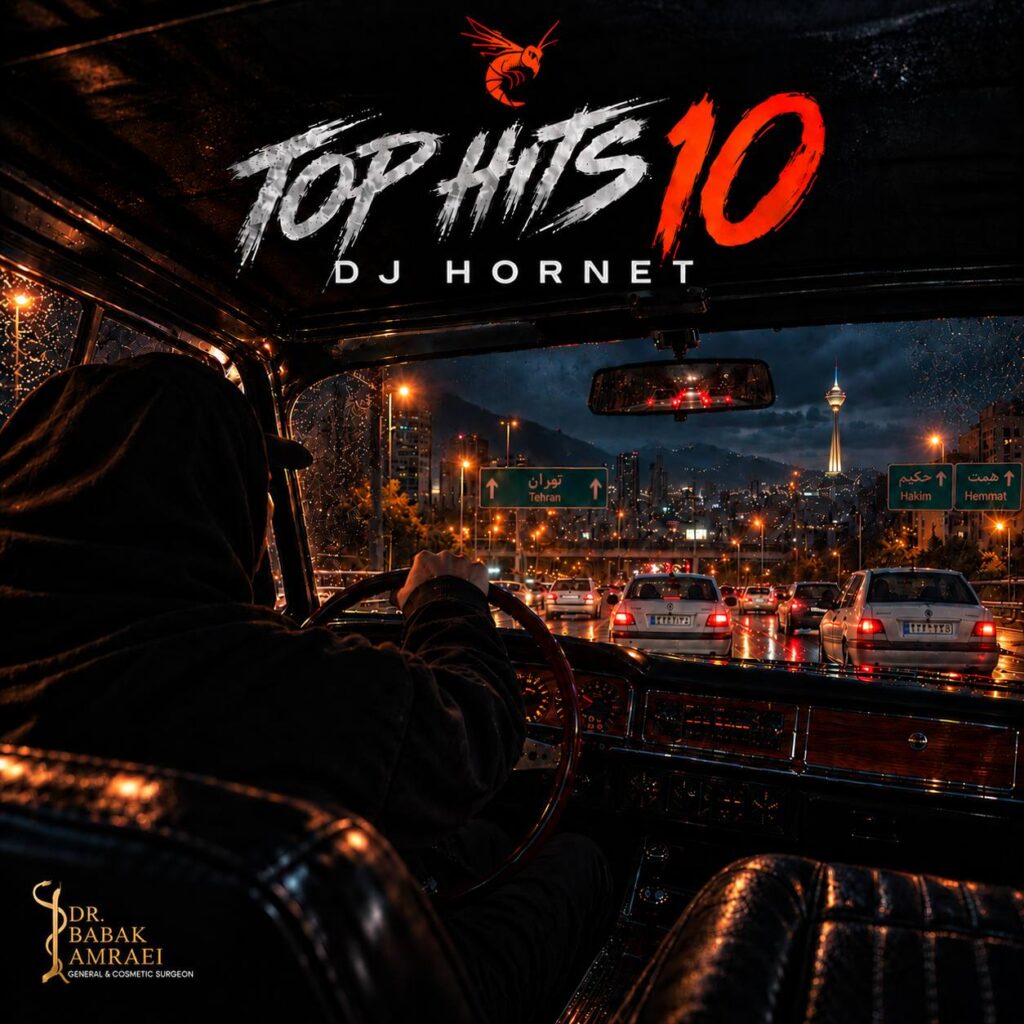 ریمیکس تاپ هیت ۱۰ دیجی هورنت