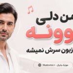 دانلود آهنگ من دلی دیوونه دارم که زبون سرش نمیشه از نگین افروز هوش مصنوعی