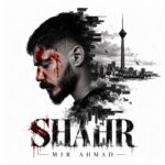 دانلود آهنگ شهر از میر احمد Mir Ahmad – Shahr دانلود آهنگ شهر از میر احمد Mir Ahmad – Shahr