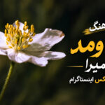 دانلود آهنگ یهو اومد حمیرا صداش ریمیکس اینستاگرام | نری دنبال مستی دانلود آهنگ یهو اومد حمیرا صداش ریمیکس اینستاگرام | نری دنبال مستی