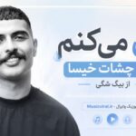 دانلود آهنگ دق میکنم بشه چشات خیسا اسمت رفت تو بلاک لیستا از بیگ شگی دانلود آهنگ دق میکنم بشه چشات خیسا اسمت رفت تو بلاک لیستا از بیگ شگی